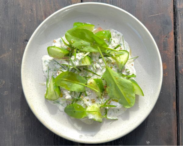 Kingfish, Coconut, Kaffir Lime and Water Spinach