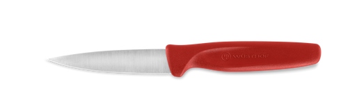 Paring Knife