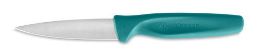 Paring Knife